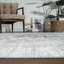 B Abstract Area Rug in Grey-1662901586