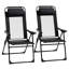 Chaises pliantes pliantes, position assise réglable, pour le jardin, la pelouse, chaise longue d'extérieur avec dossier noir 2 pièces, camping amovible, option d'espace