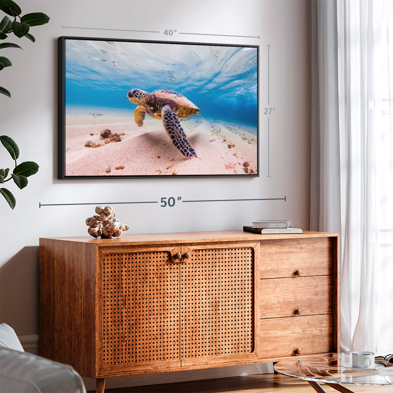 «Sandy Turtle», reproduction sur toile, H 27 po x l 40 po