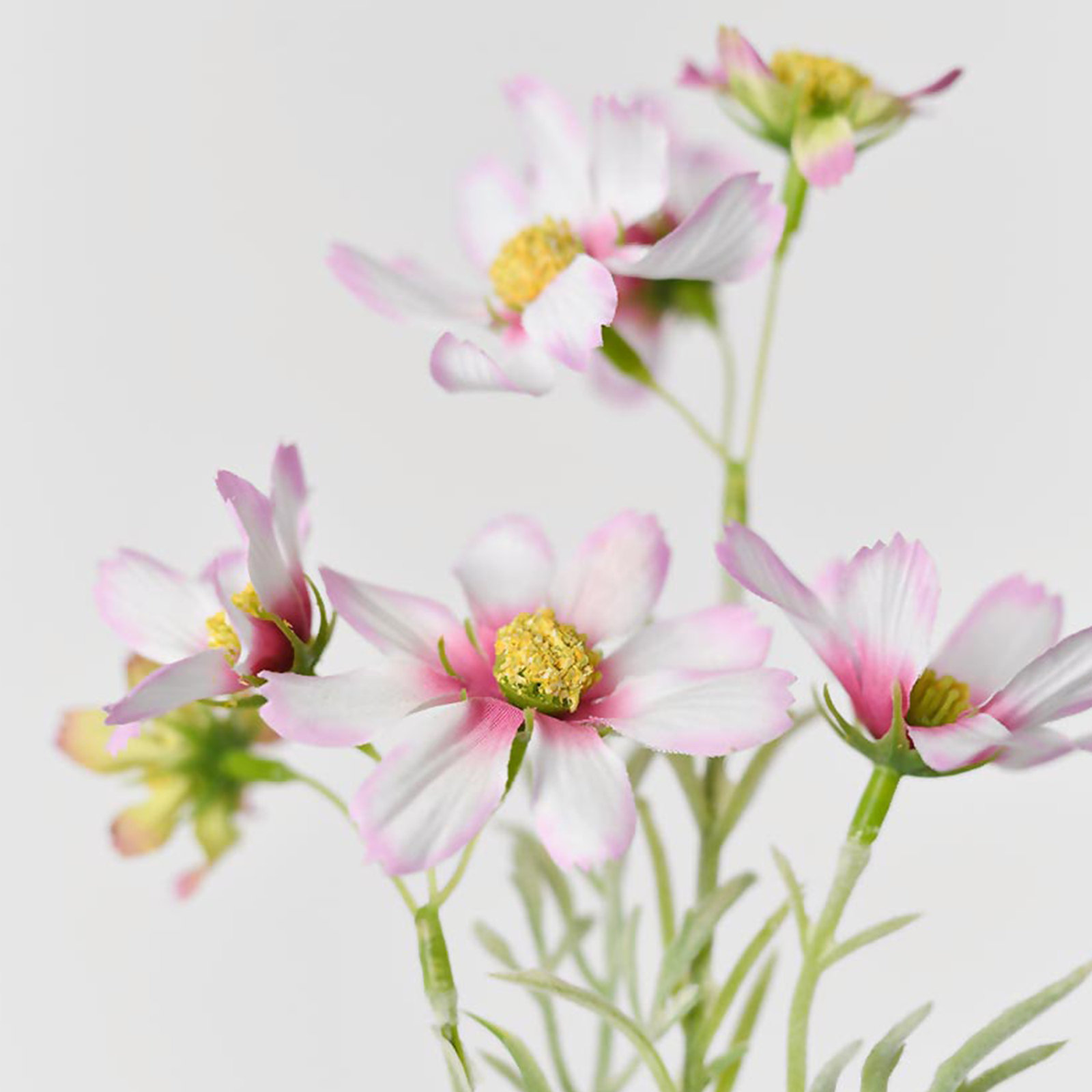 Audet Cornflower Stems, Pink, 18.33" x 4"