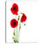 «Isolé rouge coquelicot», impression-19412748-33311241