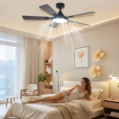 Ceiling Fan