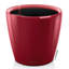Classico Pot Planter-16493119-16493124