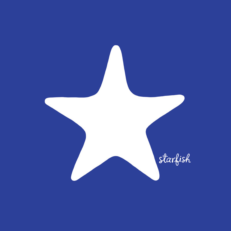 Little Blue Starfish - Wrapped Canvas Print, 51cm H x 51cm W x 3.8cm D