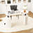 Electric Standing Desk With Storage, Home Office Height Adjustable Standing Desk With Cabinet-1201227915