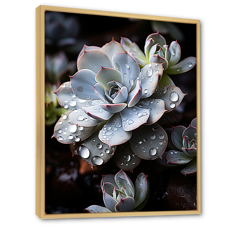 Bleu succulent explosion, Cadre naturel flottant, H 32 po x l 24 po x P 1 po