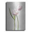 «Light Tulips III» par Debra Van Swearingen-1985103903
