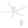 Sreeja Smart 5 - Blade LED Ceiling Fan with Remote Control Light Kit, Downrod