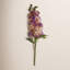 DELPHINIUM SHORT STEM