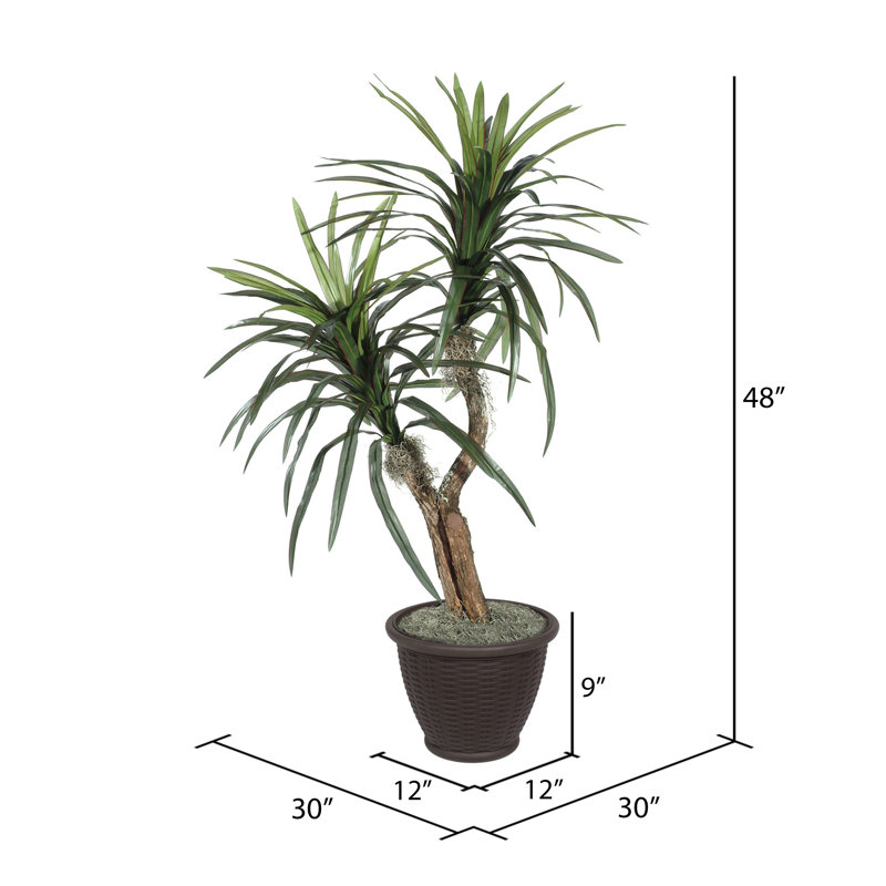 Marginata artificiel en pot dans un panier