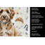 Serviette de cuisine Lagotto Romagnolo-1234934655