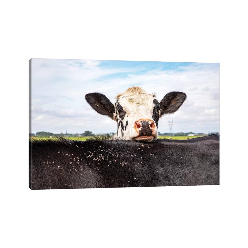 Hide And Seek by Clara Bastian - Print on Canvas, Wrapped Canvas, 30.48cm H x 45.72cm W x 1.91cm D