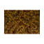 Wool Oriental Area Rug in Brown