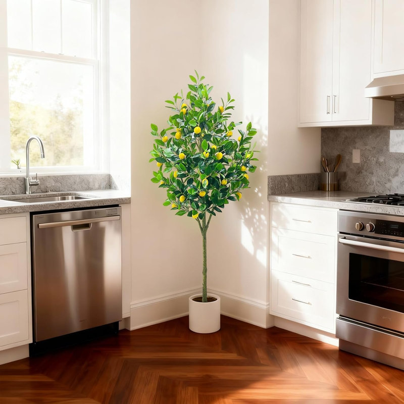 150cm Plant