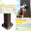 Construction de pavillon de jardin 8 x 5 pi avec toit en arc - Toit en acier galvanisé double, 2 tablettes latérales, auvent pour terrasse de jardin, patio de jardin brun