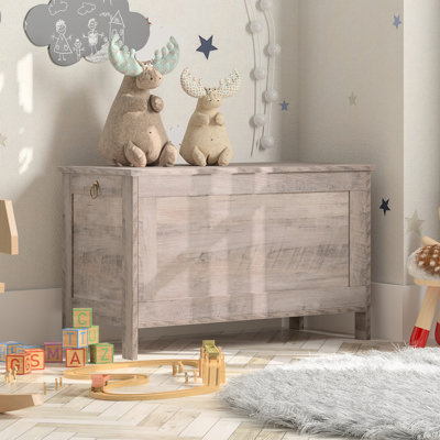 Val Blanket Storage Chest with Flip Top