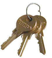 Omnimed 7'' W Gold Key Chain