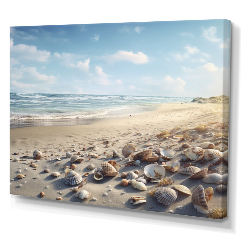 Seaside Seashell Treasures IV - Imprimé, H 30 po x l 40 po x P 1,5 po, Toile tendue