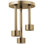 Essential™ Ceiling Mount Pendant Raincan Showerhead