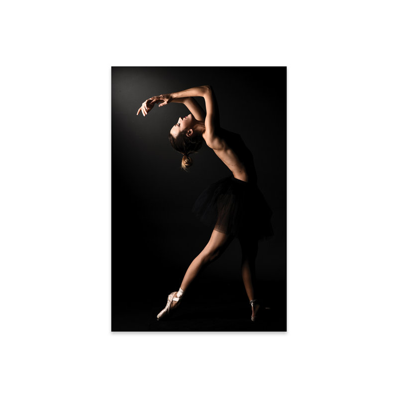 Danseuse de ballet nue avec robe tutu et chaussures IV sur plastique / acrylique par Alessandro Della