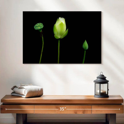 Harnek Lotus Buds