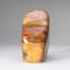 Polished Petrified Wood Freeform