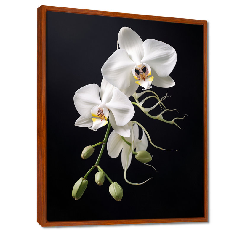 Orchidée délicate noire et blanche - décoration murale orchidée, H 32 po x l 24 po x P 1 po, Cadre flottant brun