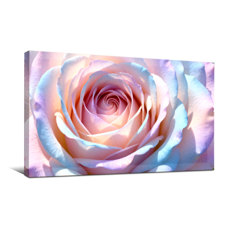 Plantes et fleurs, reproduction de pétales de rose pastel, H 28 po x l 58 po