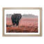 Marching Elephant in Abstract - Framed Print-55575750-55575751