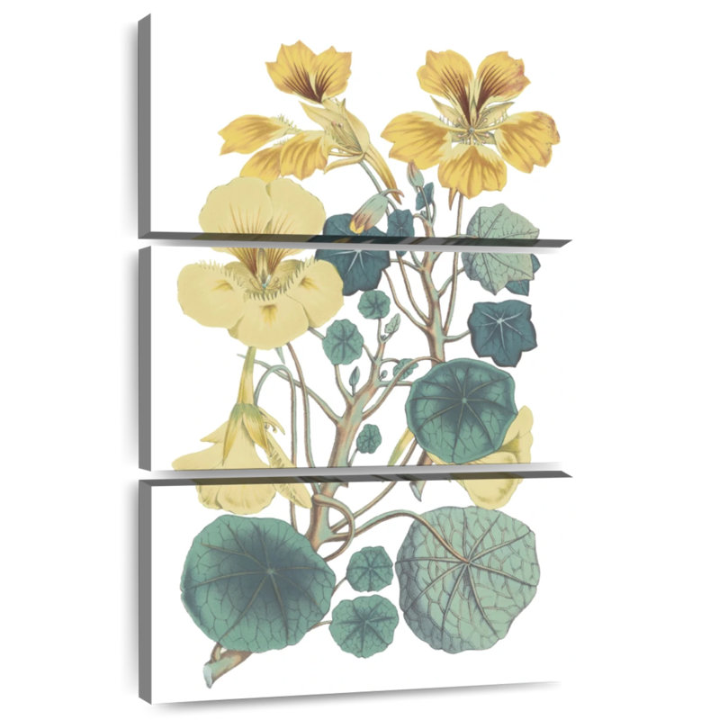 Antique botanique I Cool, H 32 po x l 20 po