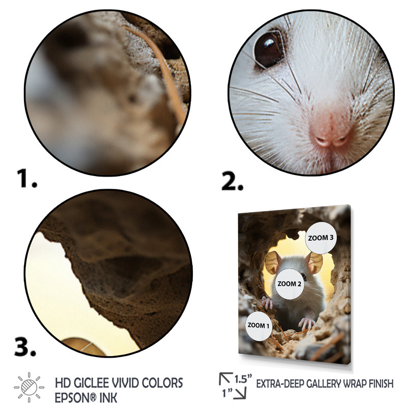 «Cute White Rodent», reproduction sur toile, Cadre flottant doré, H 32 po x l 24 po x P 1 po