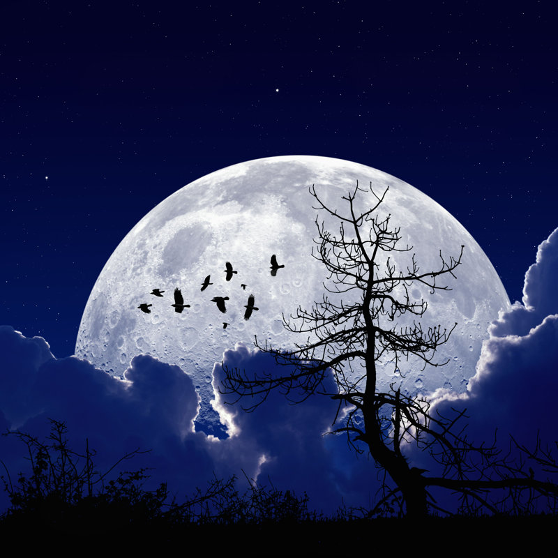 Kilwin Midnight Moon par ig0rzh - photographie sur toile tendue, H 30 po x l 30 po