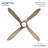 Mortyn 60" Led Indoor/outdoor Ceiling Fan-116509628-116509627