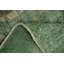 Tapis vert élégant 5 x 8