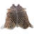 Cobleskill Handmade Zebra Cowhide Dark Brown Rug