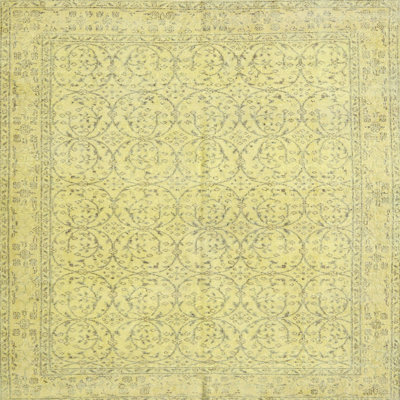 Antenore Oriental Indoor Rug