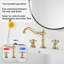 2-handle Bathroom Faucet with Drain Assembly-73465712