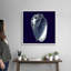 « Indigo shells V » par vision studio-impression-567973457-567973475
