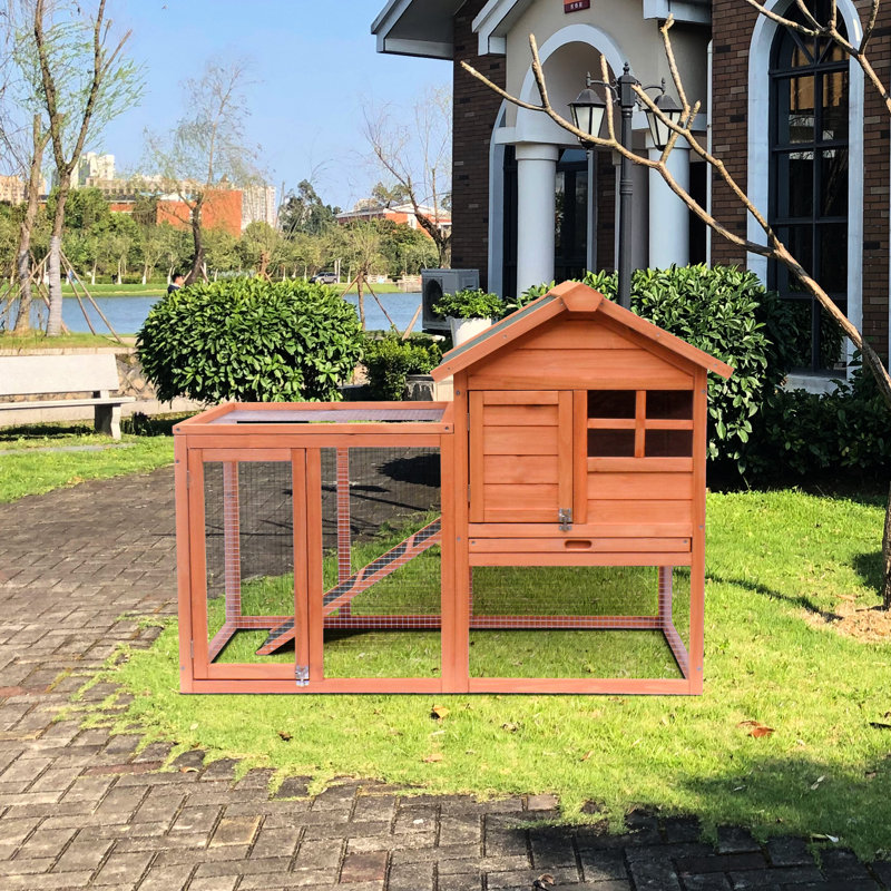 Spacieuse maison de lapin et poulailler en bois, facile à faire propre et impeccable