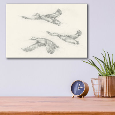  «Mallard Duck Sketch 2» par Ethan Harper, art mural en verre acrylique, 16 po x 12 po