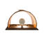 1 - Light Flush Mounted Sconce