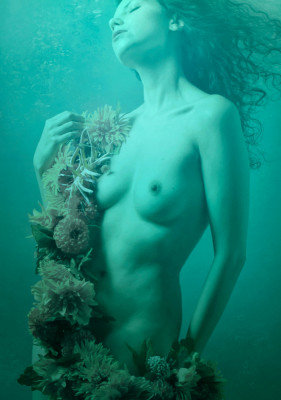 Wrapped Canvas Print, 121.92 cm H x 81.28 cm W