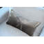 Arieta Rex Pillow Cover & Insert