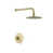 Brushed Gold is out of stock selected