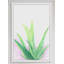 « agave », reproduction d’art encadrée-22987882