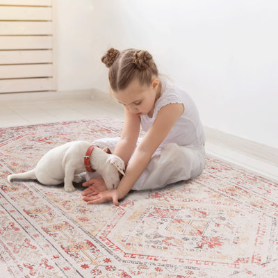 3X5 Washable Area Rug For Home Use