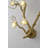 Transitional 6 Light Brass branch Wall Sconce
