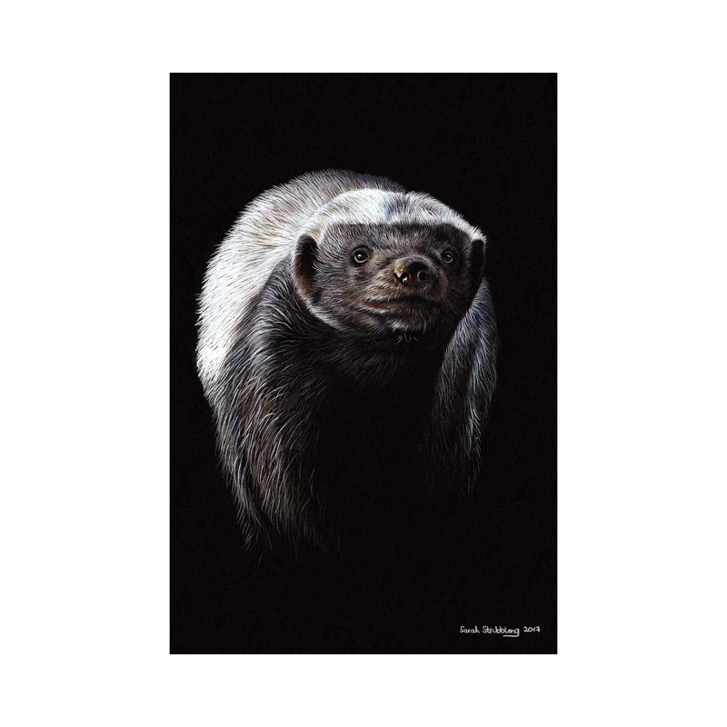 Honey Badger, H 18 po x l 12 po x 1,5 po