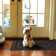 Cristene Braided Jute Reversible Black/Gray Rug