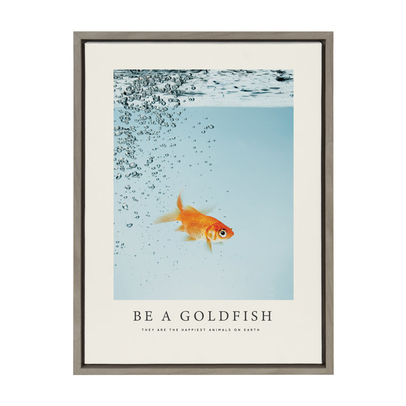 «Be a Goldfish» par The Creative Bunch Studio, reproduction d'art sur toile encadrée